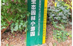 绿美西山系列报道③ | “公园+民生”，让老旧小区重焕光彩