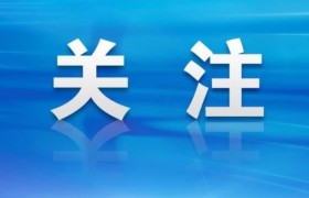 “人流量”转变为“人留量”！西双版纳农文旅融合成就美丽乡村