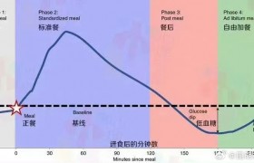 吃完就饿建议查查血糖