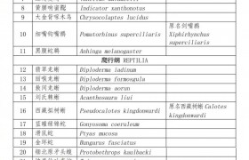 28个！云南省重点保护陆生野生动物名录出炉