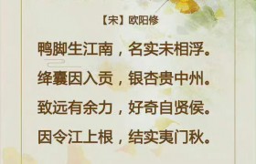 吟诵银杏美景的古诗词，你会背几首？