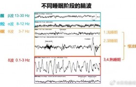 睡不着的午休也能修复大脑