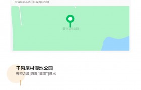 “鸥”遇美好！这份西山区小众观鸥地图请收好