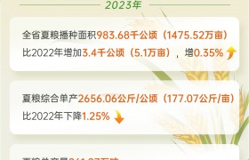 2023年云南粮食总产量近2000万吨