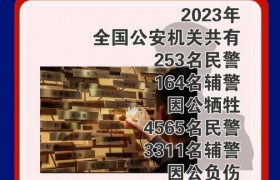 2023年253名民警164名辅警因公牺牲