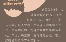 九张图告诉你鸡蛋怎么吃最营养