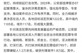 公安部：2023年打掉超1900个涉黑恶犯罪组织