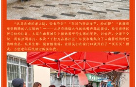 龙腾瑞气迎新春 千村万品惠社区——南区年货市集活动