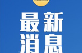 禁养的烈性犬伤人犬主担全责