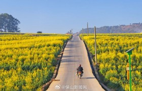 就在这周三！丙麻第二届油菜花节来了！！