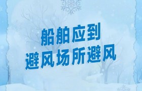 收到暴雪预警后，你该怎么做？