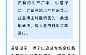 春节我在岗｜春运至，请收好昆明公安交警一大队2024年春运期间出行道路交通安全“两公布一提示”