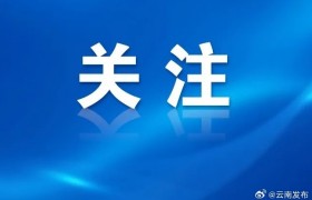 今年春运期间云南旅客总体满意率达94%