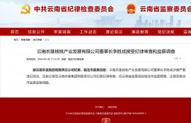 云南农垦核桃产业发展有限公司董事长李胜成接受纪律审查和监察调查