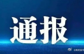 关于“跟团游客不购物被扣购物店”情况调查的通报