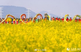 踏青赏花不负好春光！一起打卡春日繁花