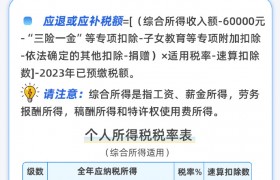 个税年度汇算进行中！为啥有人退税、有人补税？一图读懂