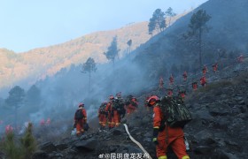 防范森林火险，我们能做什么？