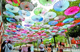 蓝花楹国风假日集市游人如织