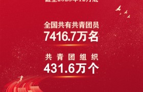 截至2023年底全国共有共青团员7416.7万名